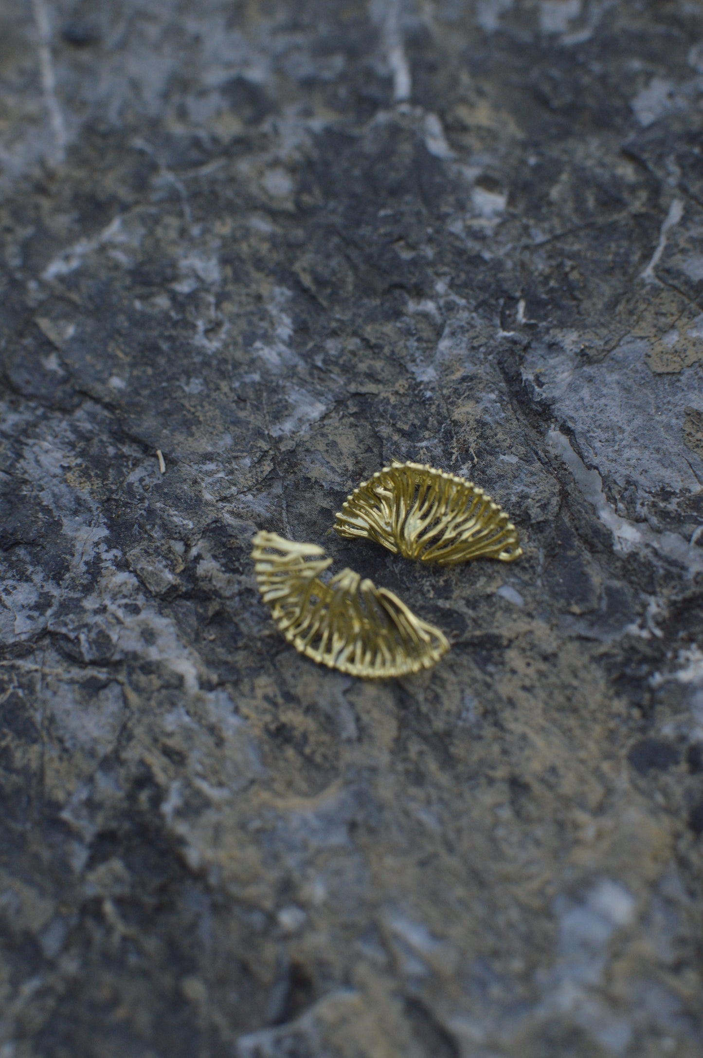 Ginkgo whisper stud silver earrings