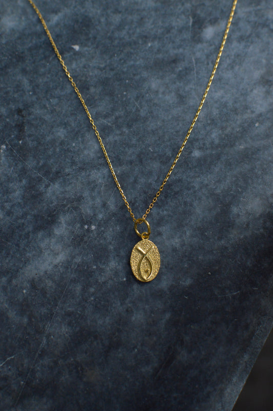 Sacred symbols: fish drop silver 14K pendant