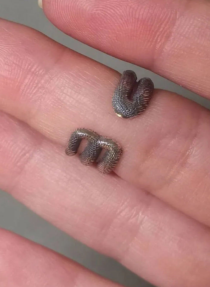 Серебряное кольцо со змеей