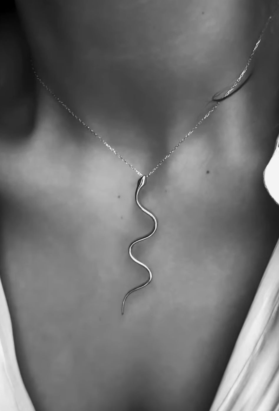 Серебряное ожерелье в виде змеи